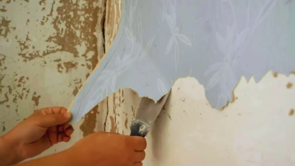 Premium Kitchen Paint Application